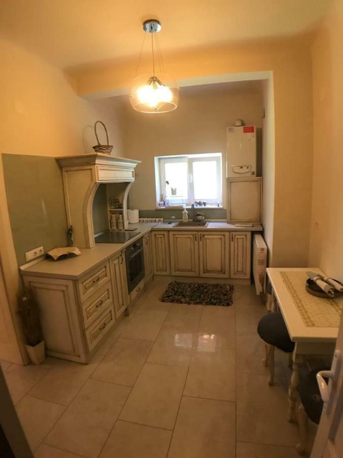Apartment Vintige Клуж-Напока Екстер'єр фото