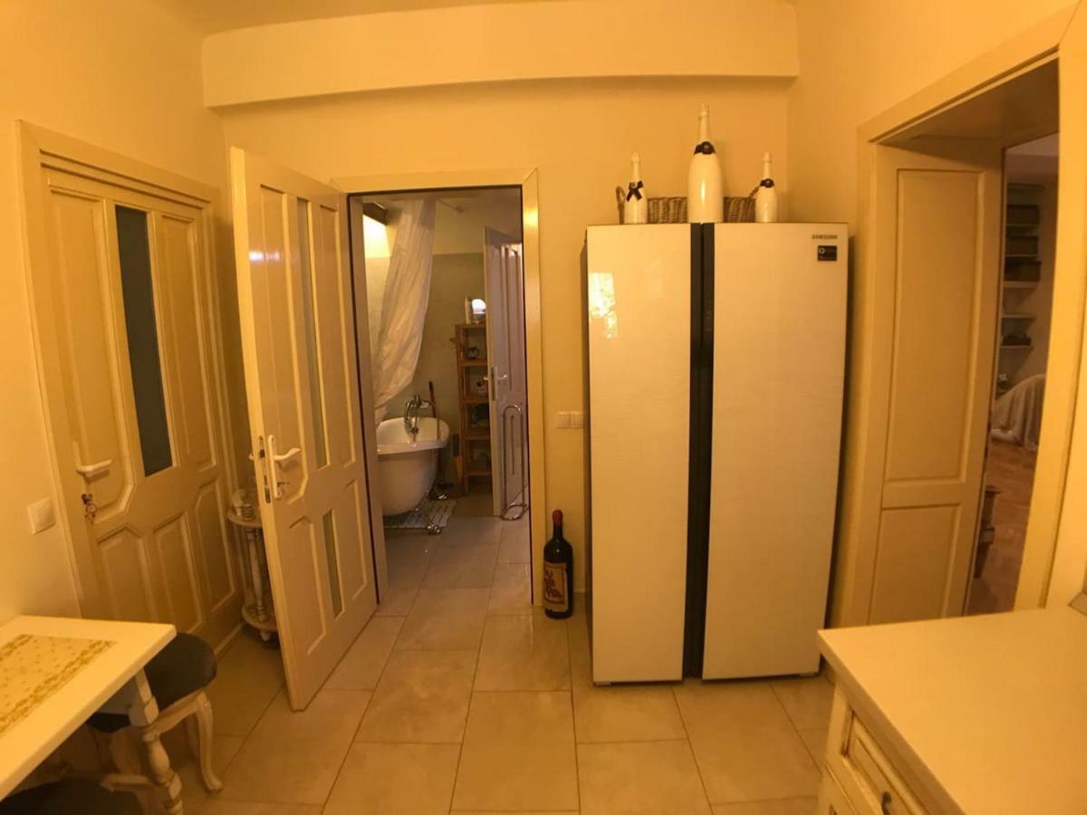 Apartment Vintige Клуж-Напока Екстер'єр фото