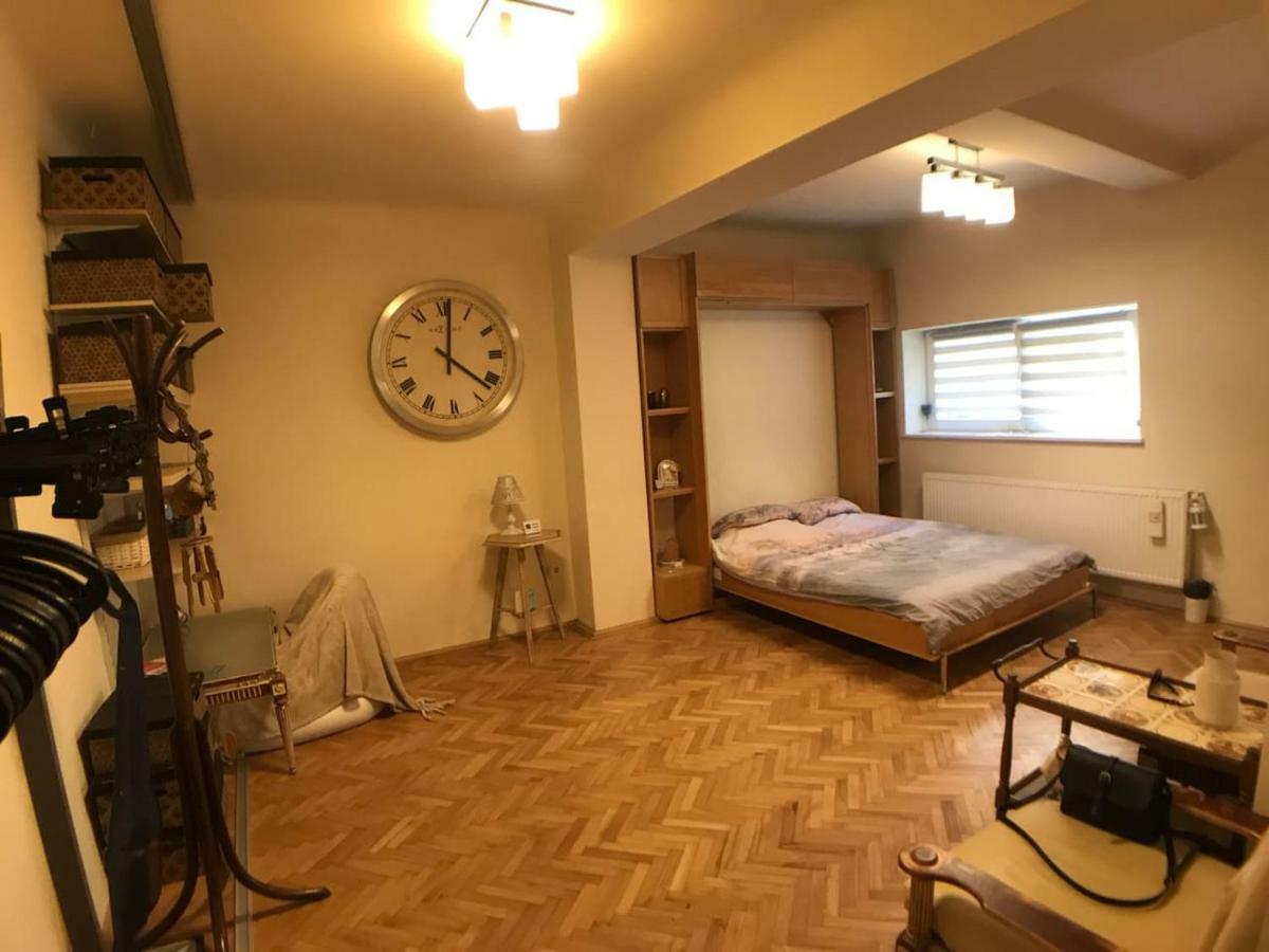 Apartment Vintige Клуж-Напока Екстер'єр фото